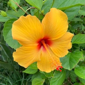 Meet your Posher, Maddie